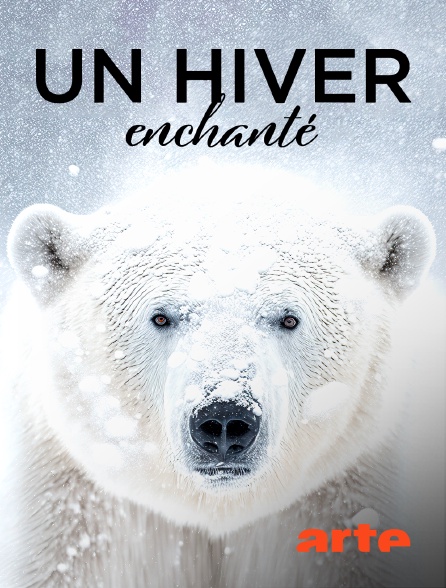 Arte - Un hiver enchanté