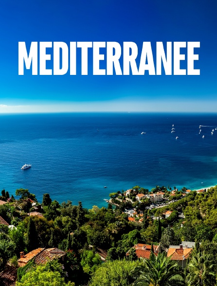 Méditerranée, l'odyssée pour la vie