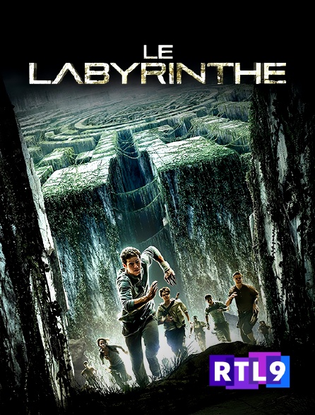 RTL 9 - Le labyrinthe