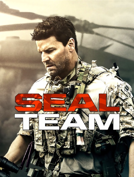 SEAL Team