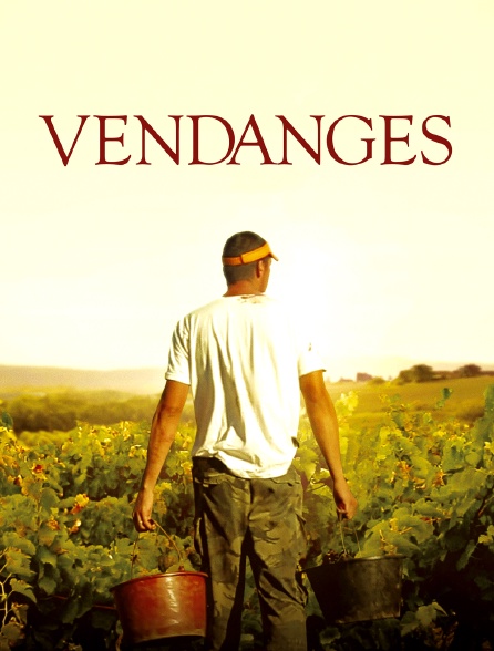 Vendanges