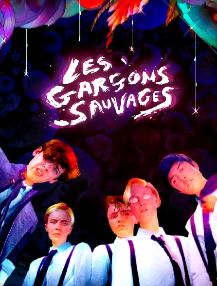 Les garçons sauvages