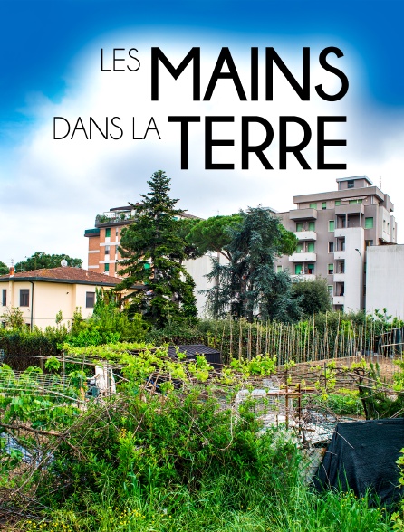 Les Mains dans la Terre