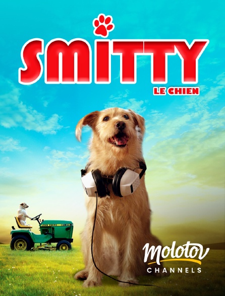 Molotov channels - Smitty le chien