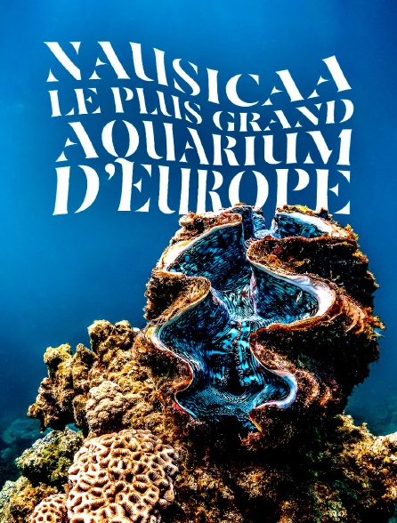 Nauricaa, le plus aquarium