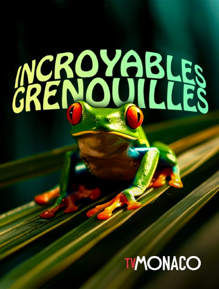 TV Monaco - Incroyables grenouilles