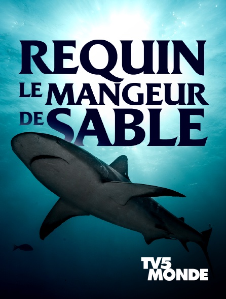 TV5MONDE - Requin, le mangeur de sable