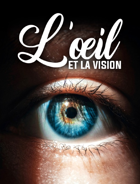 L'oeil et la vision : focus sur les avancées scientifiques