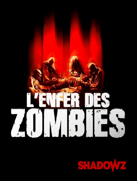 Shadowz - L'Enfer des zombies