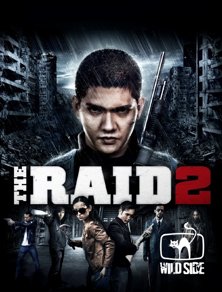 Molotov channels - The Raid 2