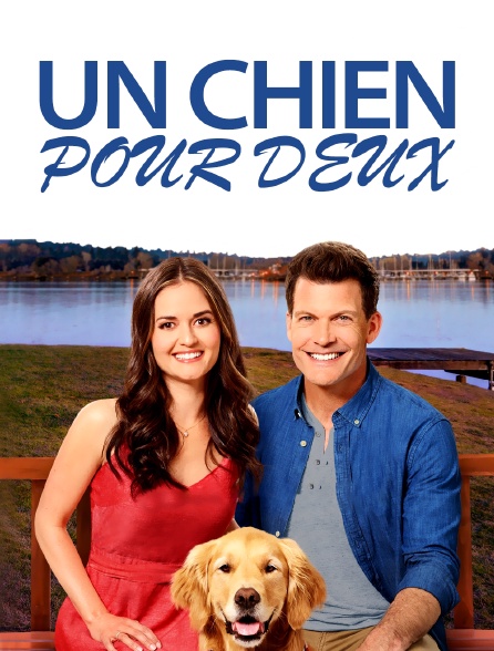 Un chien pour deux