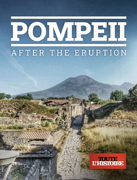 Toute l'Histoire - Pompeii : Après l'éruption