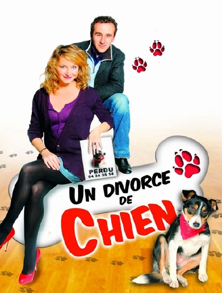 Un divorce de chien