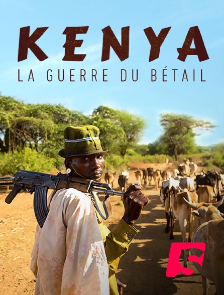 Spicee - Kenya : la guerre du bétail