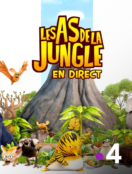 France 4 - Les as de la jungle en replay