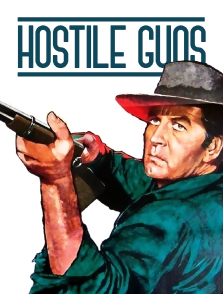 Hostile Guns