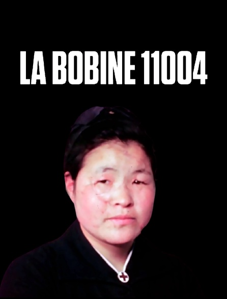 La bobine 11004