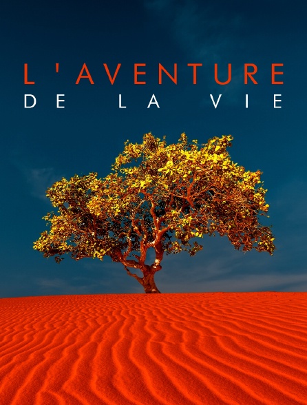 L'aventure de la vie