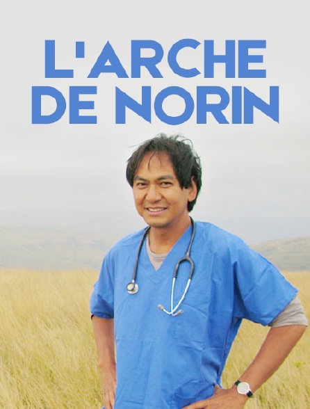 L'arche de Norin