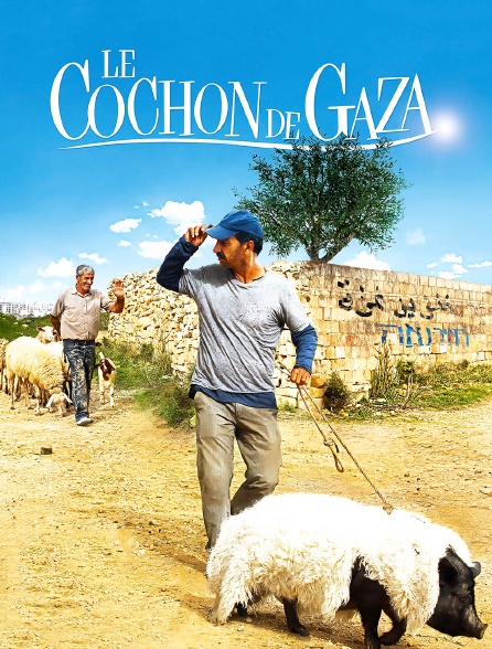 Le cochon de Gaza