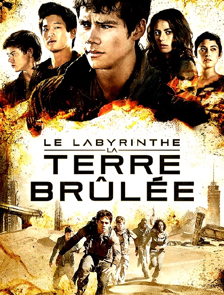 Le labyrinthe : la terre brûlée