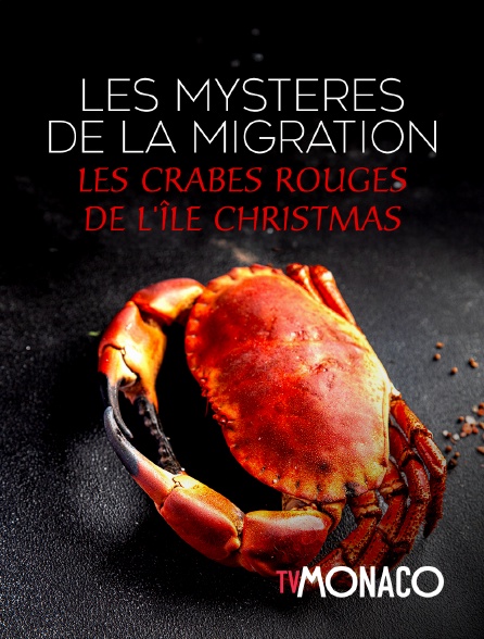 TV Monaco - Les mystères de la migration : Les crabes rouges de l'île Christmas