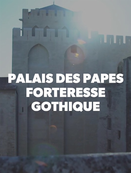 Palais des papes, forteresse gothique