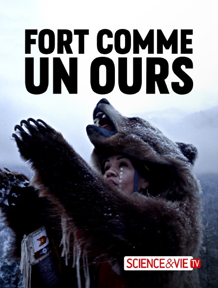 Science et Vie TV - Fort comme un ours