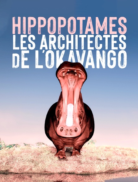 Hippopotames, les architectes de l'Okavango