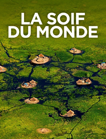 La soif du monde