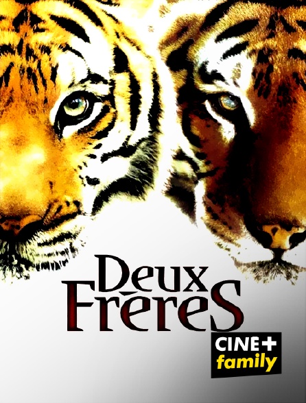 CINE+ Family - Deux Frères