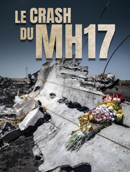 Le crash du MH17