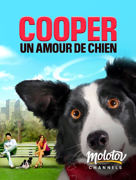 Molotov Channels - Cooper, un amour de chien