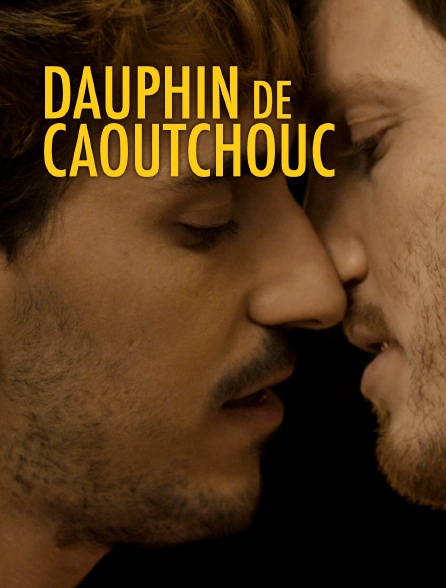 Dauphin de caoutchouc