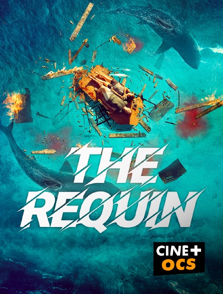 CINÉ Cinéma - The requin