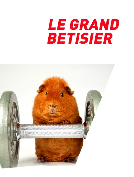 Le grand bêtisier du sport - 02/09/2024 à 21h15