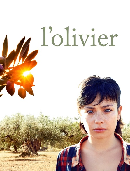 L'olivier