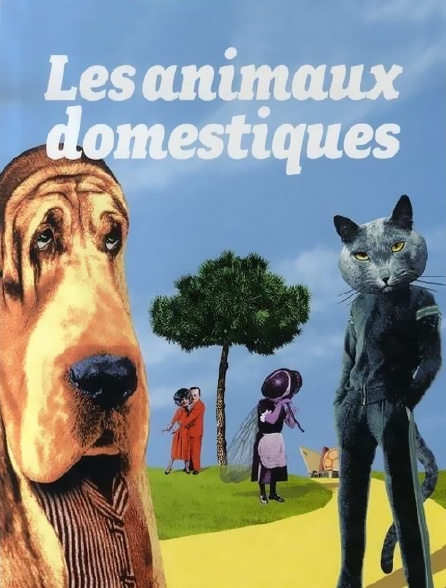 Les animaux domestiques - 31/01/2021 à 02h26