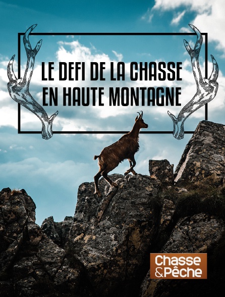 Chasse et pêche - Le défi de la chasse en haute montagne