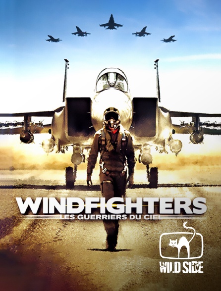 Molotov channels - Windfighters : les guerriers du ciel