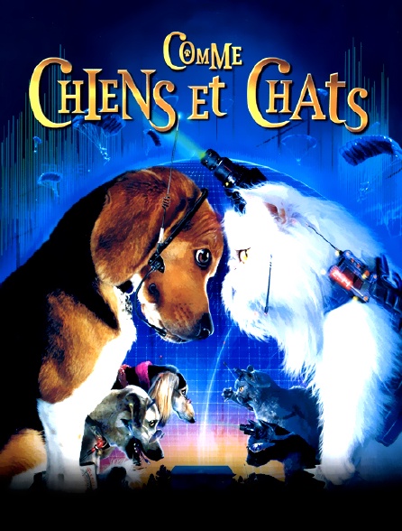 Comme chiens et chats