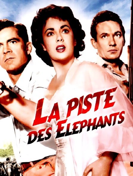 La piste des éléphants