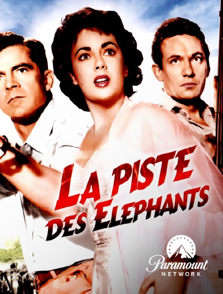 Paramount Network - La piste des éléphants