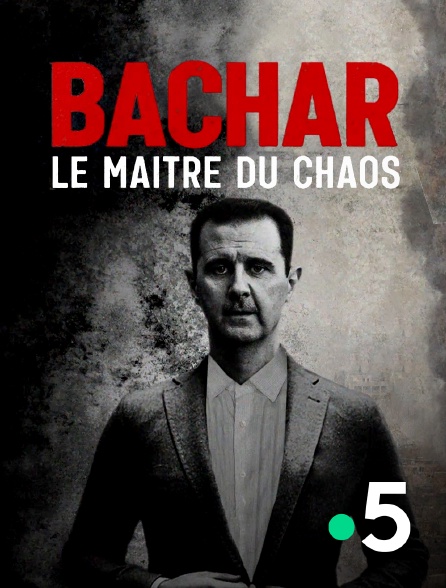 France 5 - Bachar, le maître du chaos