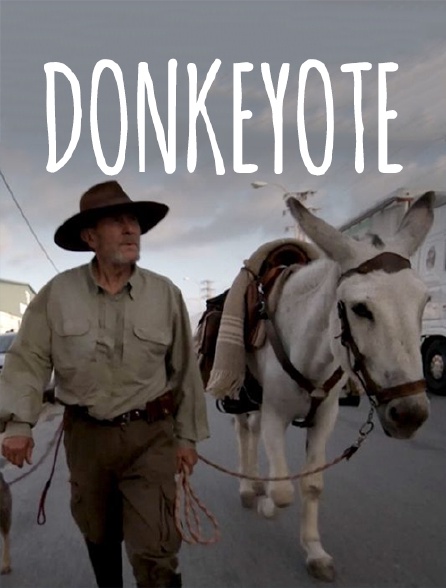 Donkeyote