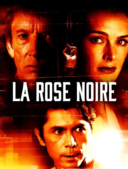 La rose noire - 30/01/2021 à 15h44