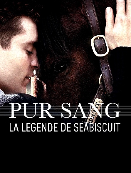 Pur-sang, la légende de Seabiscuit