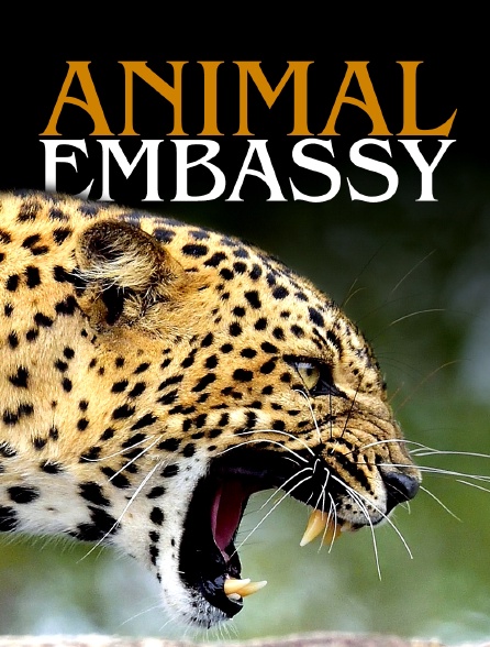 Animal Embassy