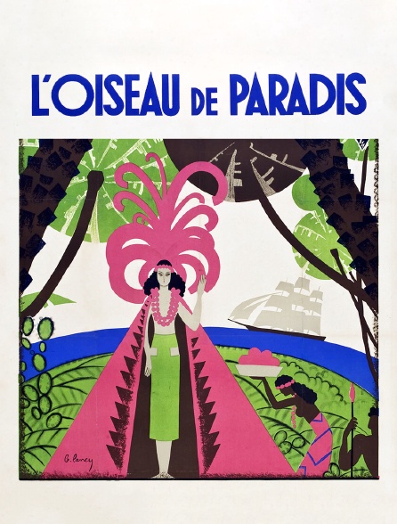 L'oiseau de paradis