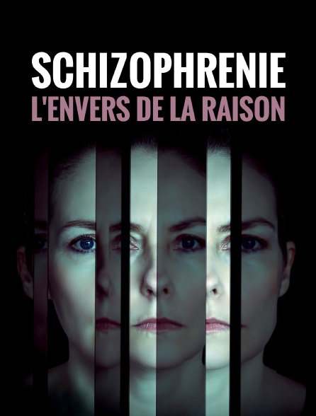 Schizophrénie, l'envers de la raison